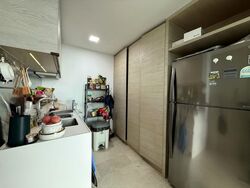 Sennett Residence (D13), Condominium #586056861